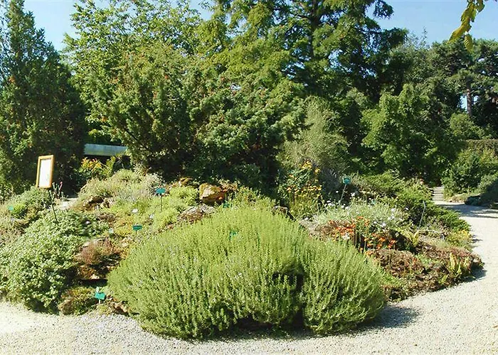Hotel Du Jardin Des Plantes Paris