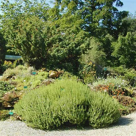 Hotel Du Jardin Des Plantes Paris