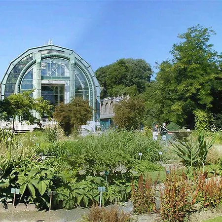 Hotel Du Jardin Des Plantes