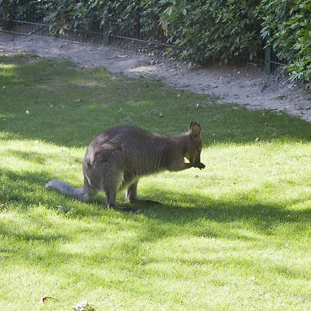 Du Jardin Des Plantes Hotel 3*